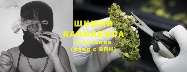 ГАЛЛЮЦИНОГЕННЫЕ ГРИБЫ Алексин