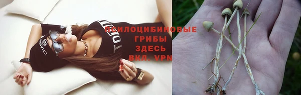 крисы Алексеевка