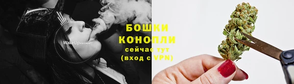 молекула духа Костерёво