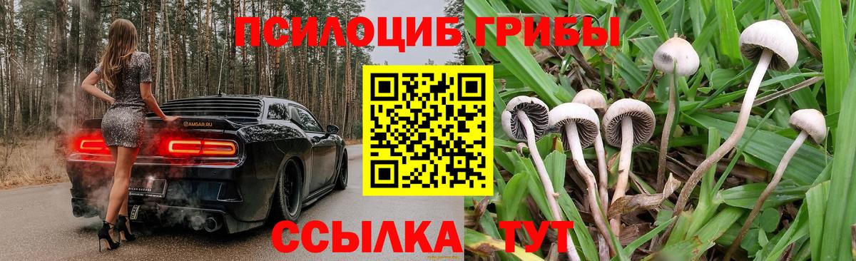 Волжский  Галлюциногенные грибы прущие грибы  Галлюциногенные грибы Psilocybe  Вход с VPN 