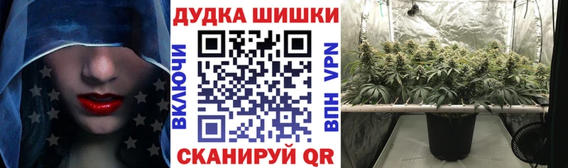 Марихуана планчик Волжский